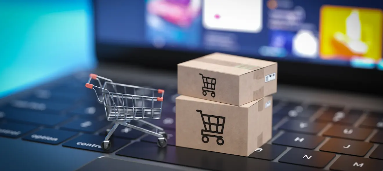 The Future of Online Shopping and Digital Convenience