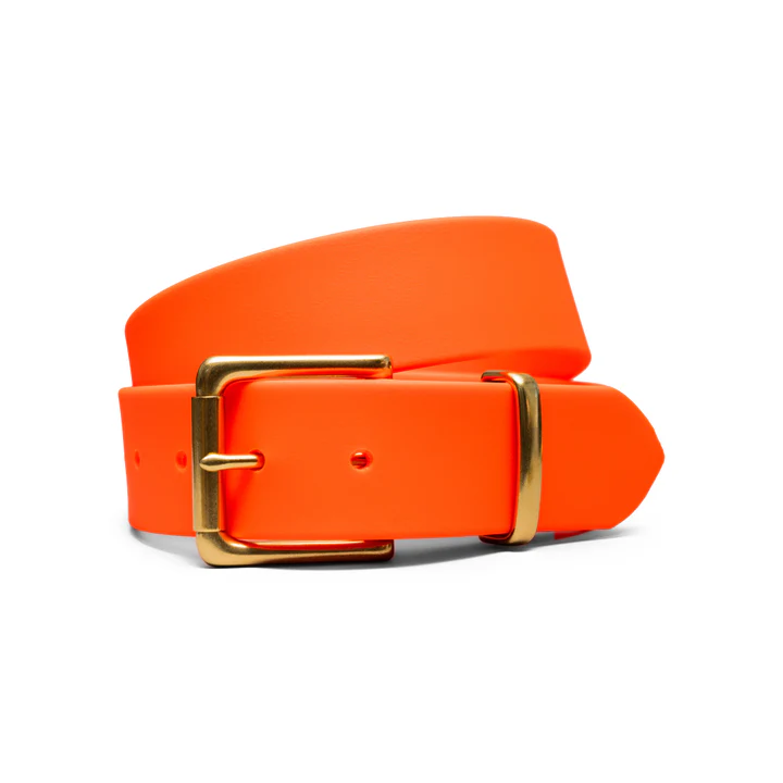 Traveller BioThane Field Belt (Blaze) - 3