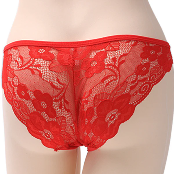 Red Embroidered Net Panty - 3