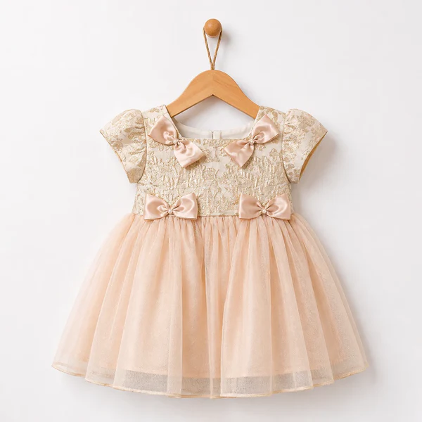 Baby Girl Skin embroidered net frock with a satin bow Fancy Frock